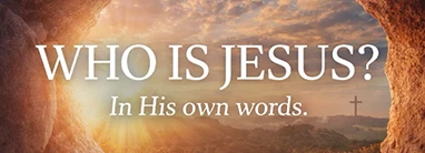 Who Is Jesus In His Own Words Series Title